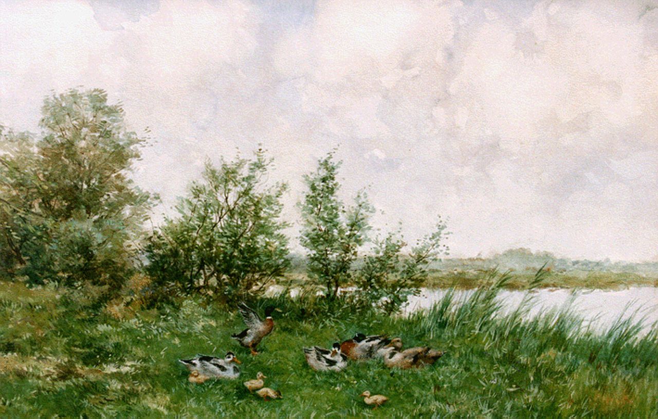 Artz C.D.L.  | 'Constant' David Ludovic Artz, Ducks on the riverbank, watercolour on paper 36.0 x 52.0 cm, signed l.r.