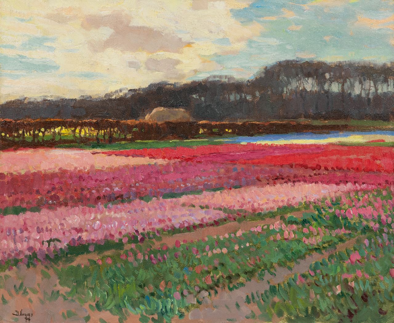 Viegers B.P.  | Bernardus Petrus 'Ben' Viegers, Flowering bulb fields, oil on canvas 40.6 x 50.6 cm, signed l.l.