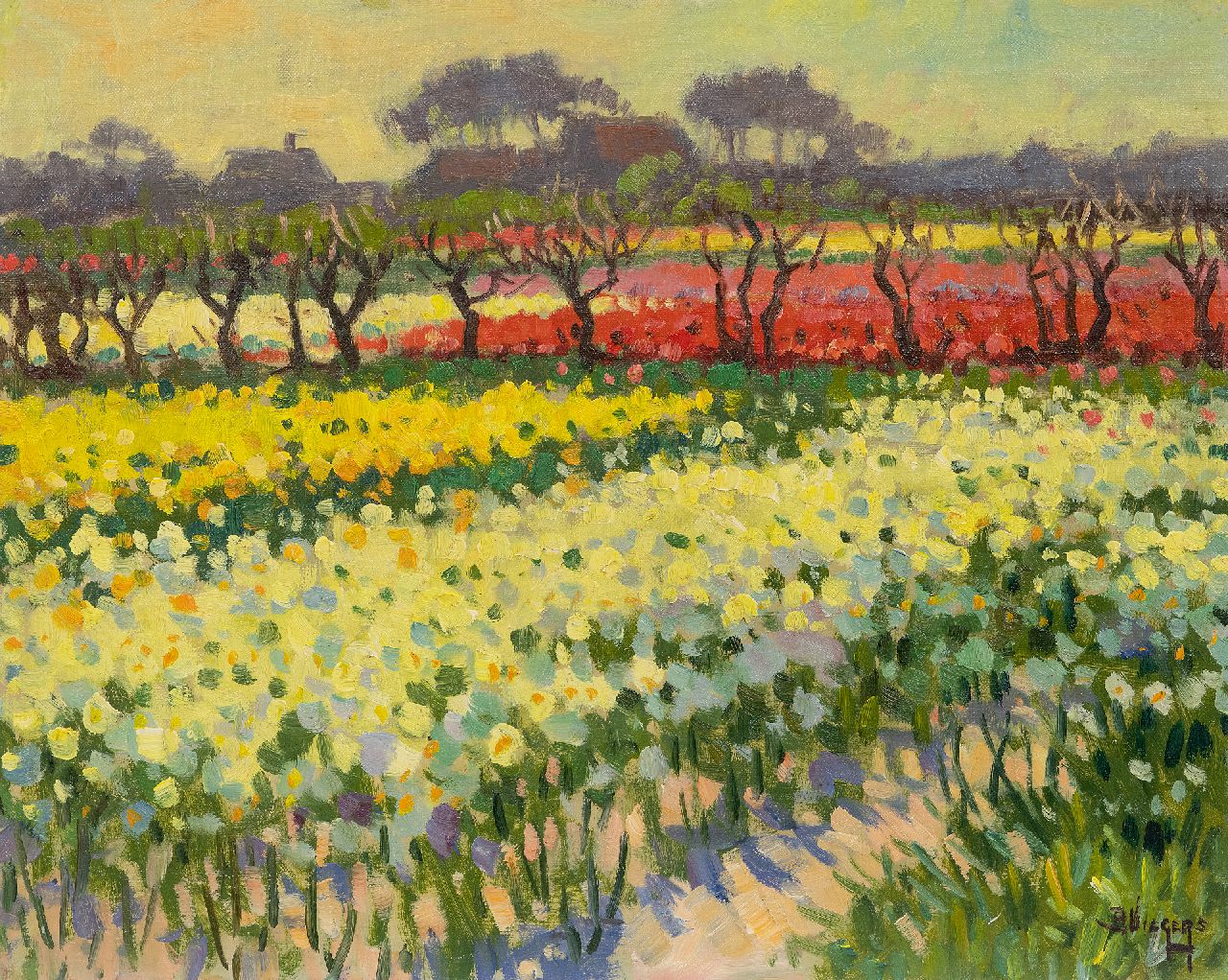 Viegers B.P.  | Bernardus Petrus 'Ben' Viegers, Narcissus- and tulip fields in Bakkum, North Holland, oil on canvas 40.6 x 50.6 cm, signed l.r.