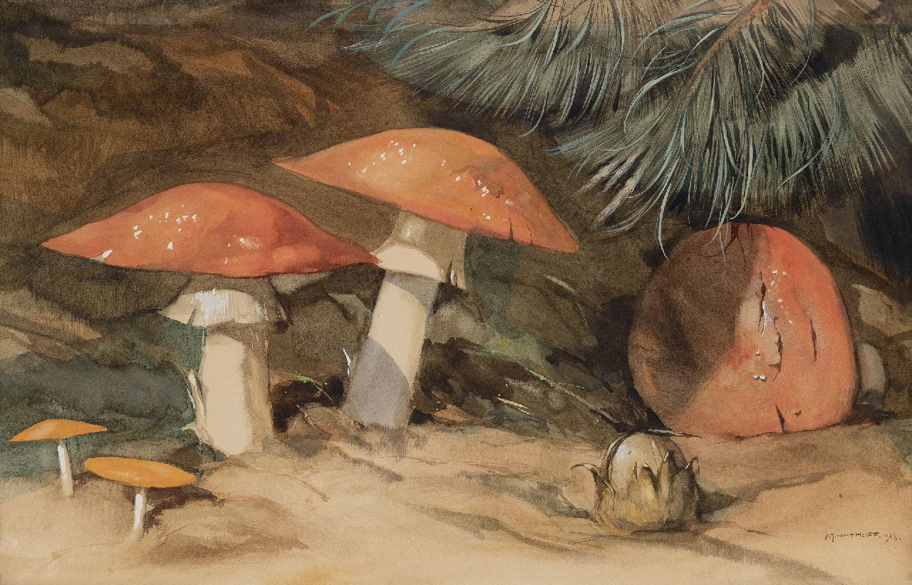 Hoff A.J. van 't | Adrianus Johannes 'Adriaan' van 't Hoff | Watercolours and drawings offered for sale | Fly agarics, watercolour on paper 35.8 x 59.2 cm, signed l.r. and dated 1923