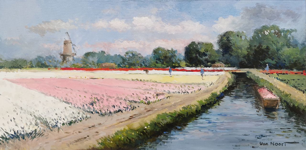 Noort A.C. van | Adrianus Cornelis van Noort, The Keukenhof, Lisse, oil on canvas 40.2 x 80.1 cm, signed l.r.