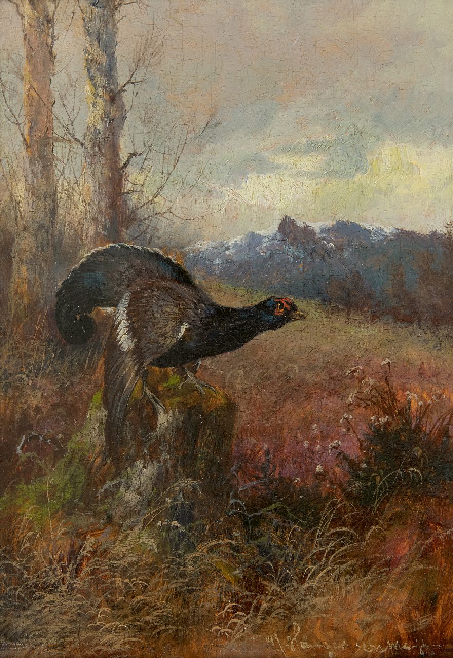 Hänger M.  | Max Hänger | Paintings offered for sale | Capercaillie looking right, oil on panel 19.7 x 13.8 cm, signed l.r.