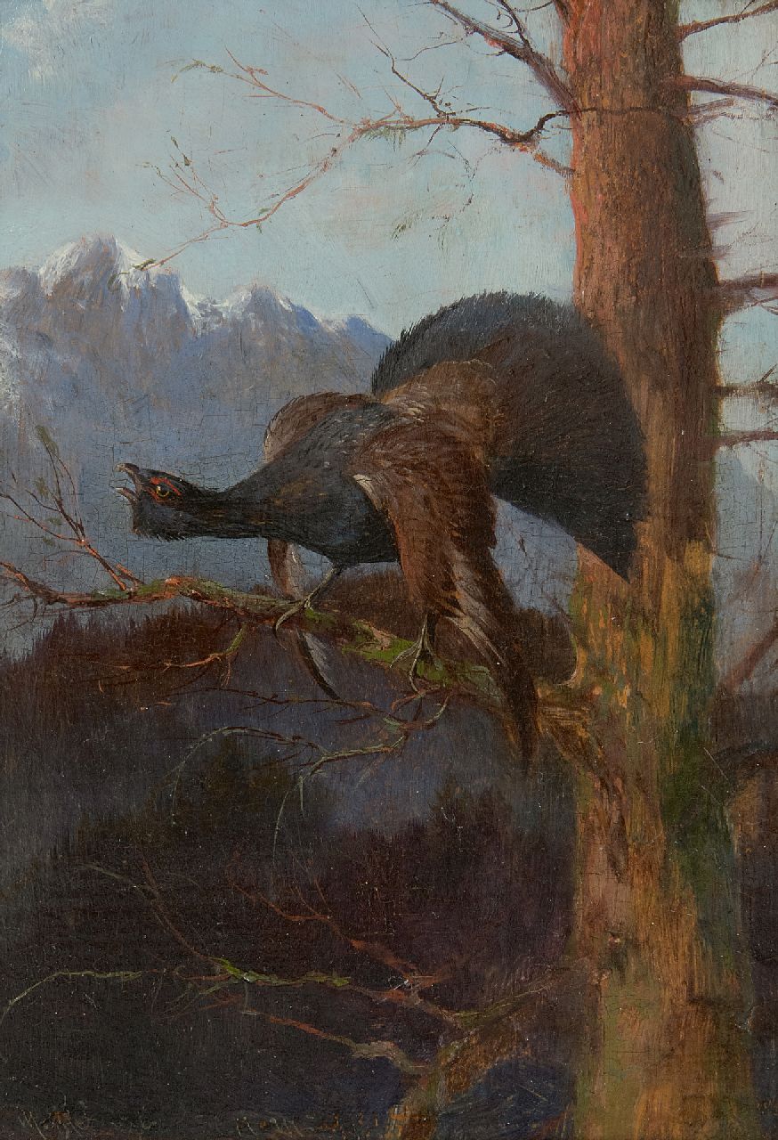 Hänger M.  | Max Hänger | Paintings offered for sale | Capercaillie looking left, oil on panel 19.2 x 13.2 cm, signed l.l.