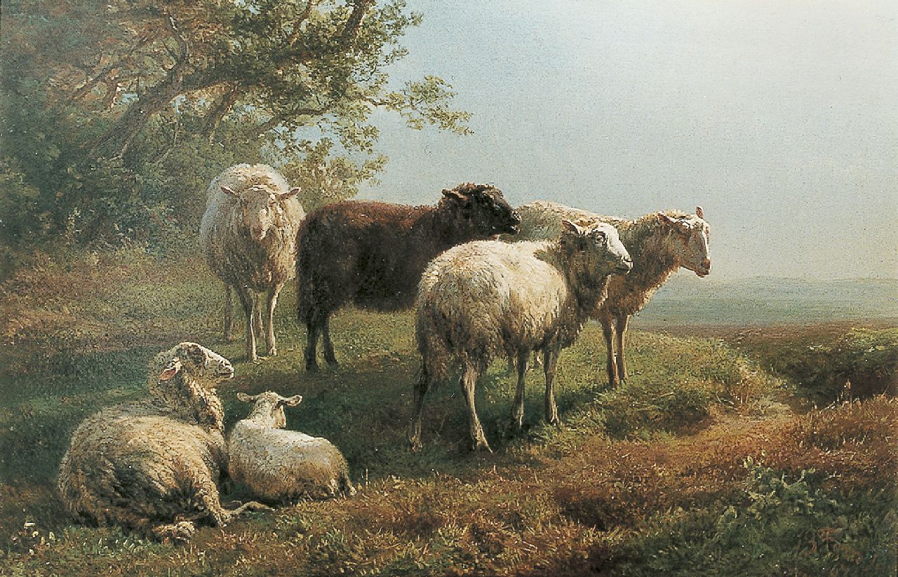 Tom J.B.  | Jan Bedijs Tom, Sheep in a landscape, oil on panel 22.0 x 32.2 cm, signed l.r. and dated '67