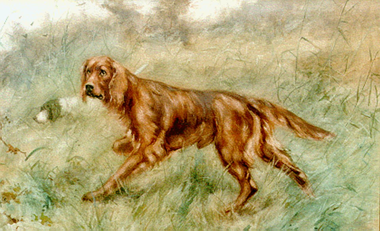 Hulk jr. J.F.  | Johannes Frederik 'John' Hulk jr., Ierse setter, watercolour on paper 40.0 x 63.5 cm, gesigneerd linksonder