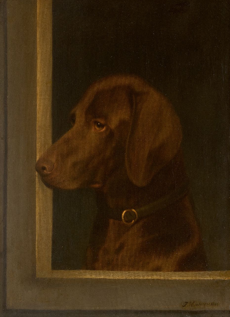 Hamburger J.  | Julius Hamburger, Portrait of a hunting dog, looking to the left, oil on canvas 52.6 x 42.5 cm, signed l.r. and dated 1883