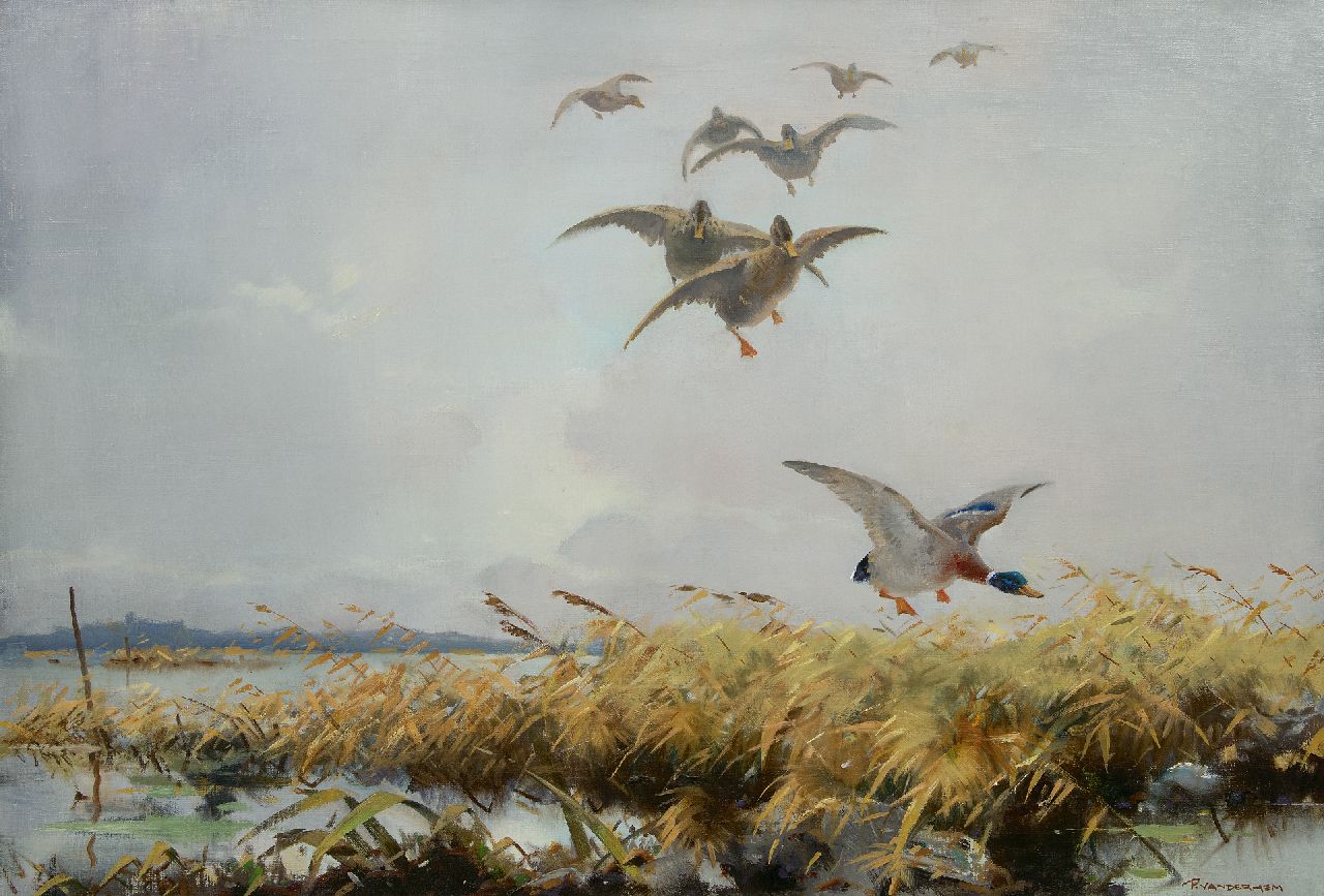 Hem P. van der | Pieter 'Piet' van der Hem | Paintings offered for sale | Duck flight, oil on canvas 65.8 x 96.4 cm, signed l.r.