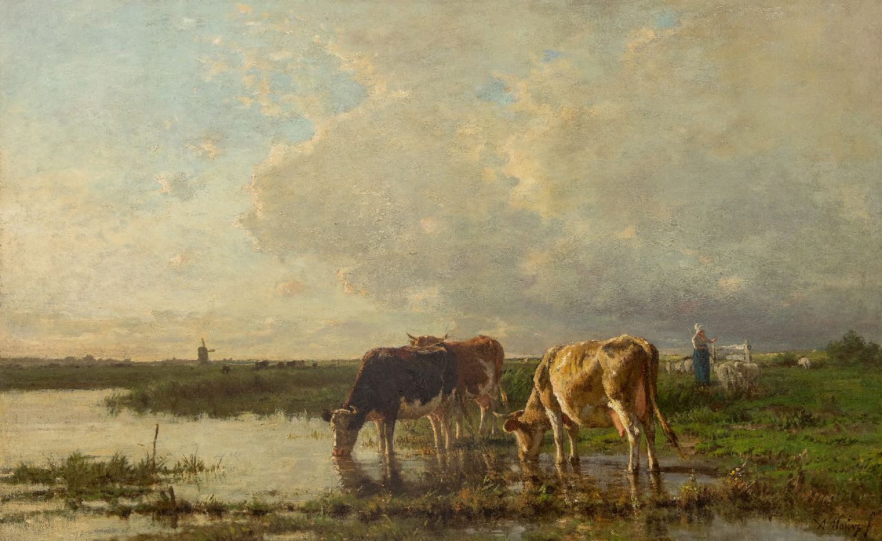 Mauve A.  | Anthonij 'Anton' Mauve | Paintings offered for sale | Drinking cattle by the river, oil on canvas 84.8 x 134.8 cm, signed l.r.