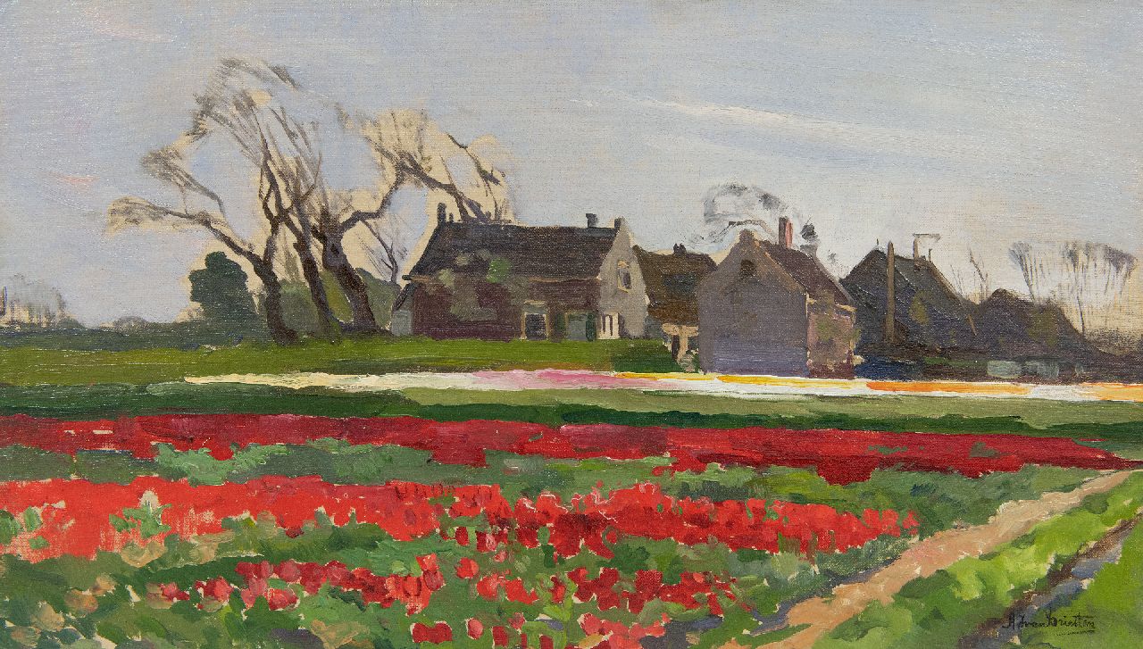 Driesten A.J. van | Arend Jan van Driesten | Paintings offered for sale | Bulb fields, oil on painter's board 28.5 x 49.7 cm, signed l.r.