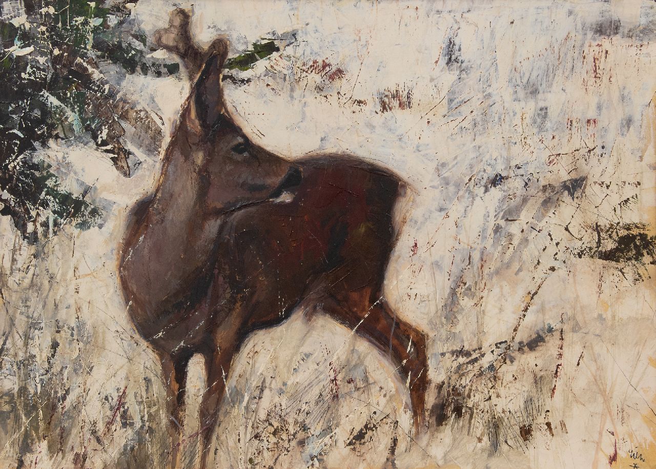 Poortvliet R.  | Rien Poortvliet, Young deer in the snow, oil on panel 50.2 x 70.2 cm, signed l.r.