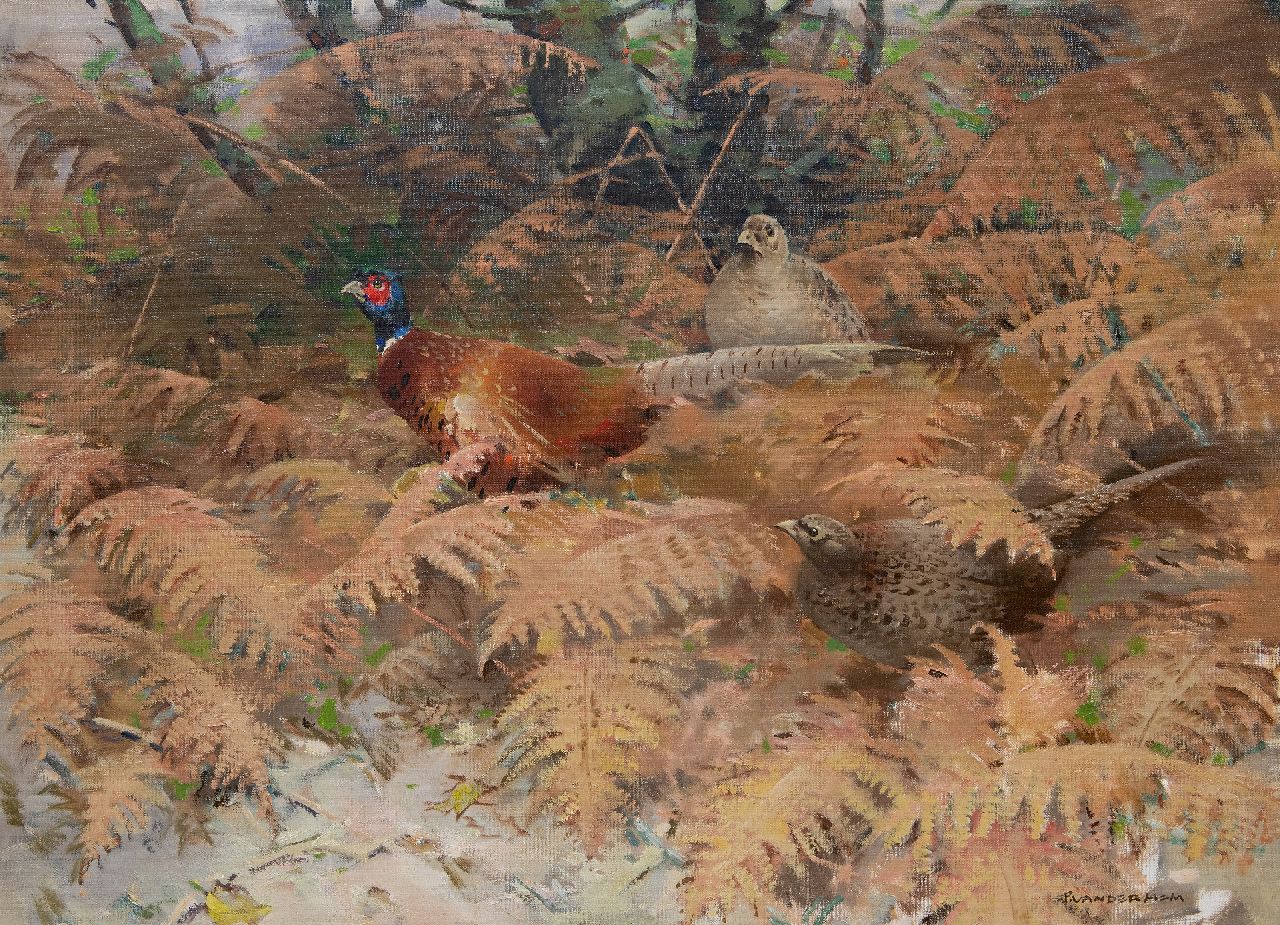 Hem P. van der | Pieter 'Piet' van der Hem | Paintings offered for sale | Pheasant rooster with two hens between ferns, oil on canvas 75.5 x 100.0 cm, signed l.r.