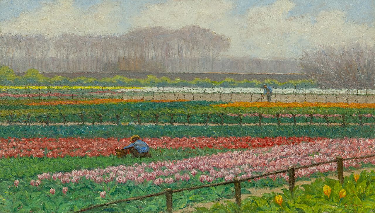 Bleckmann W.C.C.  | Wilhelm Christiaan Constant Bleckmann, Bulb field, oil on paper on canvas on panel 49.9 x 86.6 cm, signed l.r.