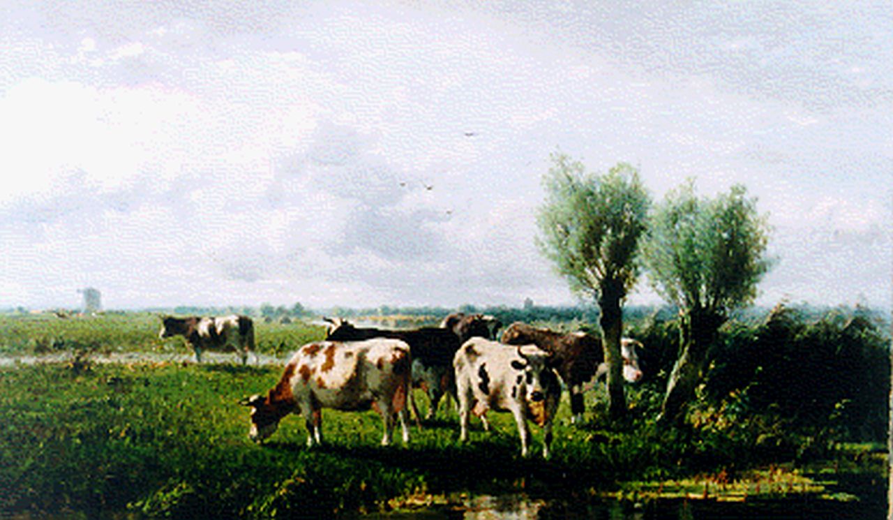 Westerbeek C.  | Cornelis Westerbeek, A polder landscape with cows grazing, oil on canvas 56.8 x 96.8 cm, signed l.l. and dated '96