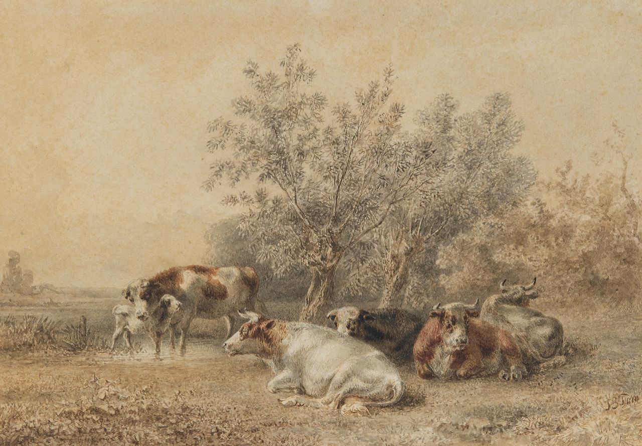 Tom J.B.  | Jan Bedijs Tom | Watercolours and drawings offered for sale | Cows at willow grove, ink and watercolour on paper 20.7 x 30.0 cm, signed l.r.