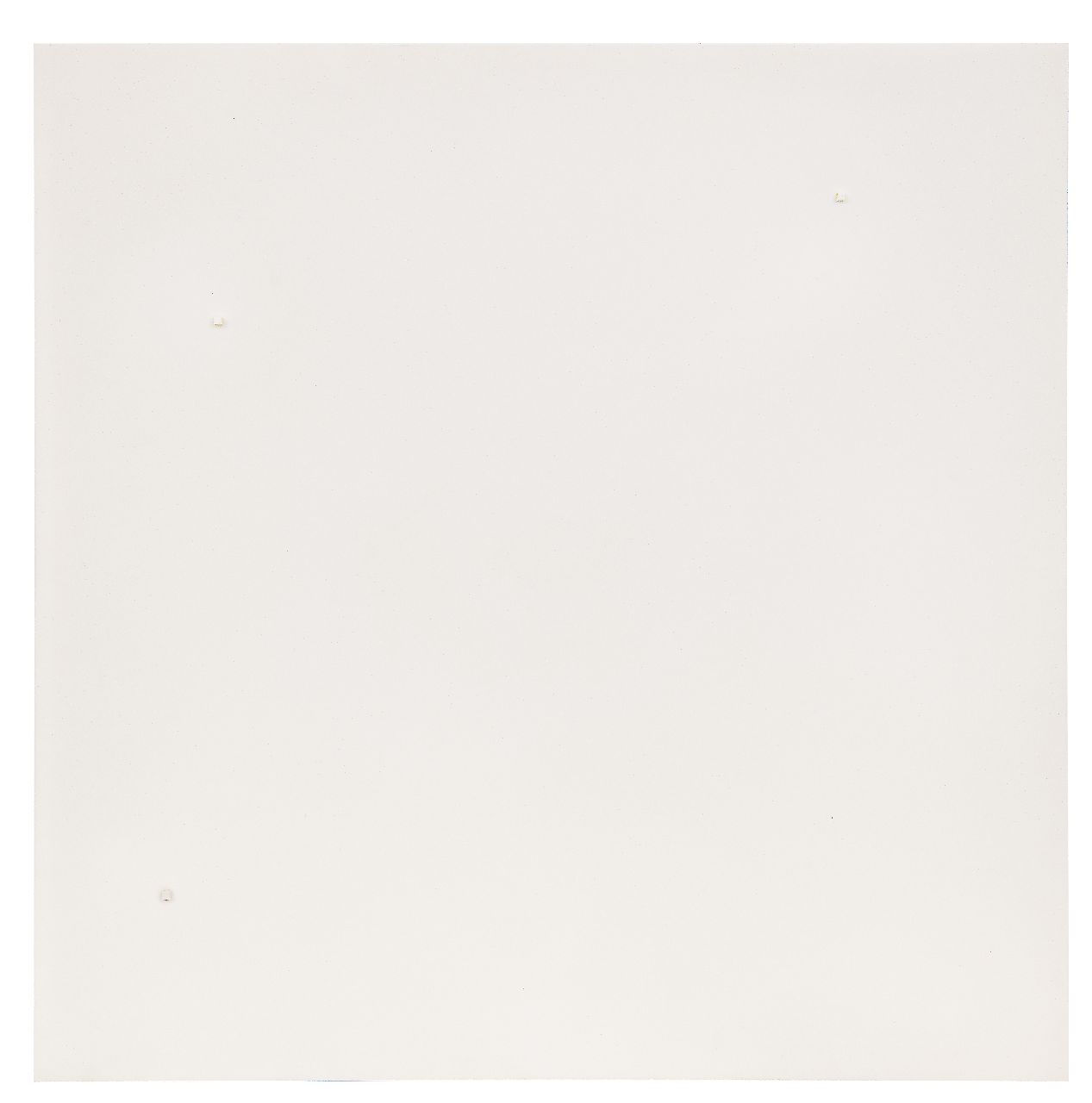 vries h. de | herman de vries |  offered for sale | random objectivations (no V'74-106), plastic relief 39.5 x 39.5 cm, signed on the reverse and to be dated 1974