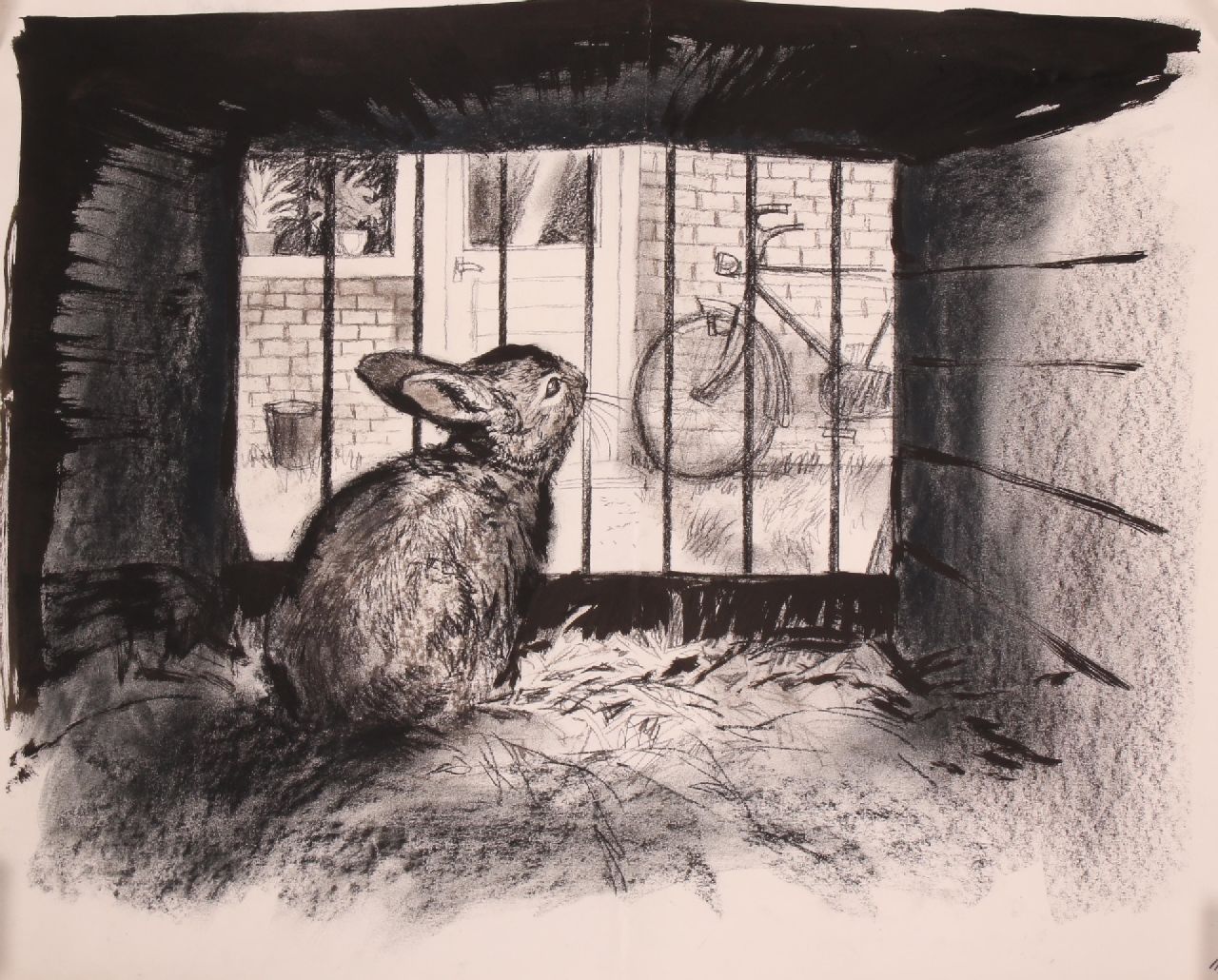 Poortvliet R.  | Rien Poortvliet | Watercolours and drawings offered for sale | Rabbit in cage, charcoal and ink on paper 50.0 x 64.8 cm, zonder lijst