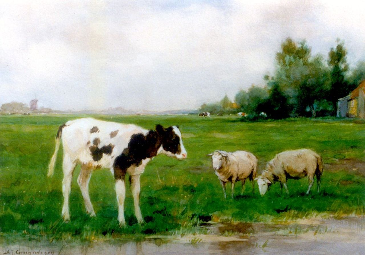 Groenewegen A.J.  | Adrianus Johannes Groenewegen, Sheep an a calf in a meadow, watercolour on paper 25.3 x 35.2 cm, signed l.l.
