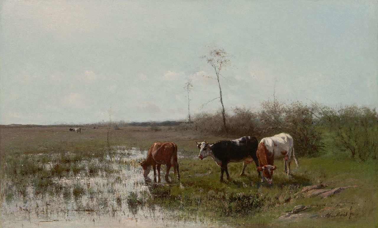 Maris W.  | Willem Maris, Grazing cows, oil on canvas 49.8 x 89.9 cm, signed l.r.