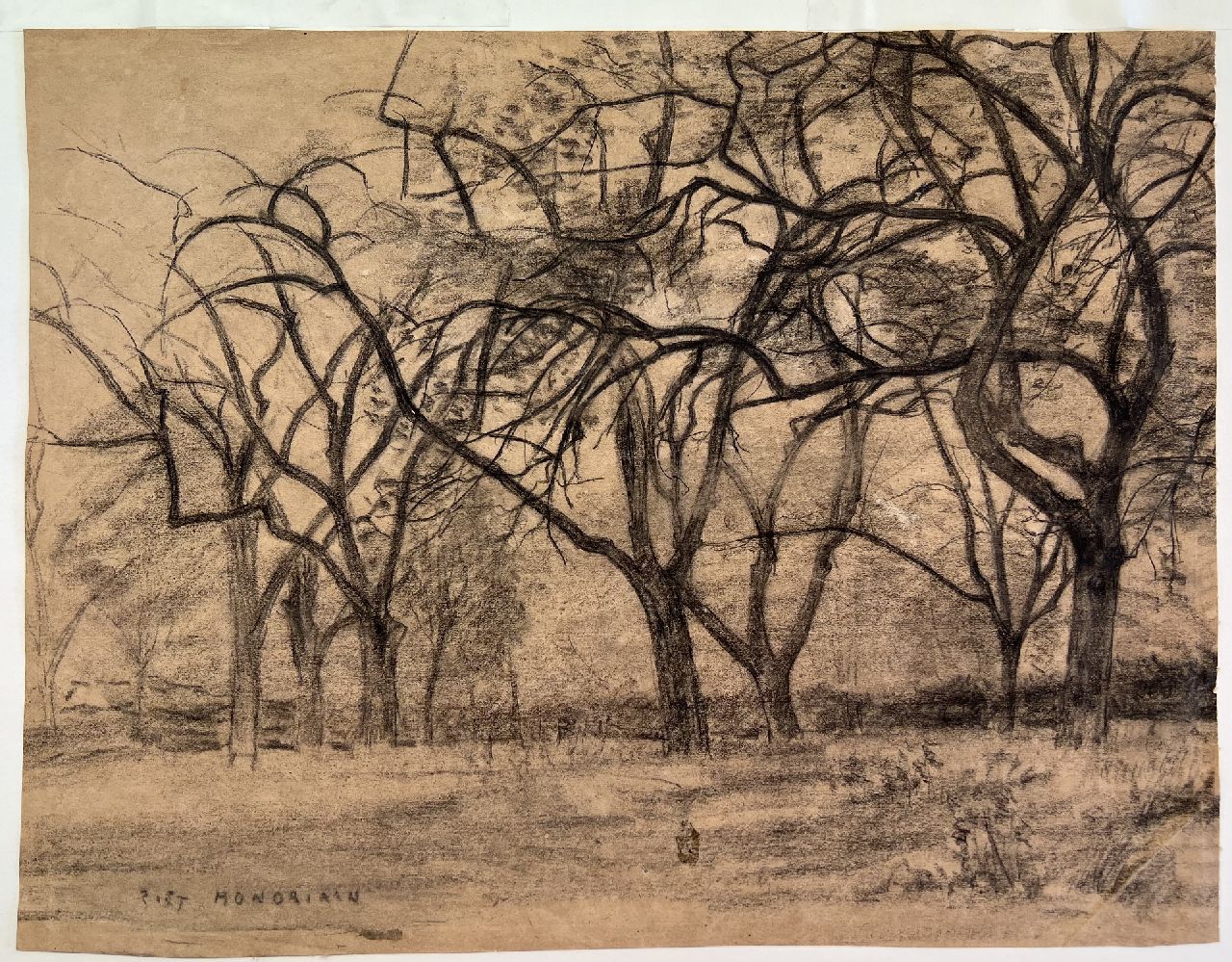 Mondriaan P.C.  | Pieter Cornelis 'Piet' Mondriaan | Watercolours and drawings offered for sale | Group of trees, black chalk on paper 33.4 x 44.0 cm, signed l.l. and 1902-1905