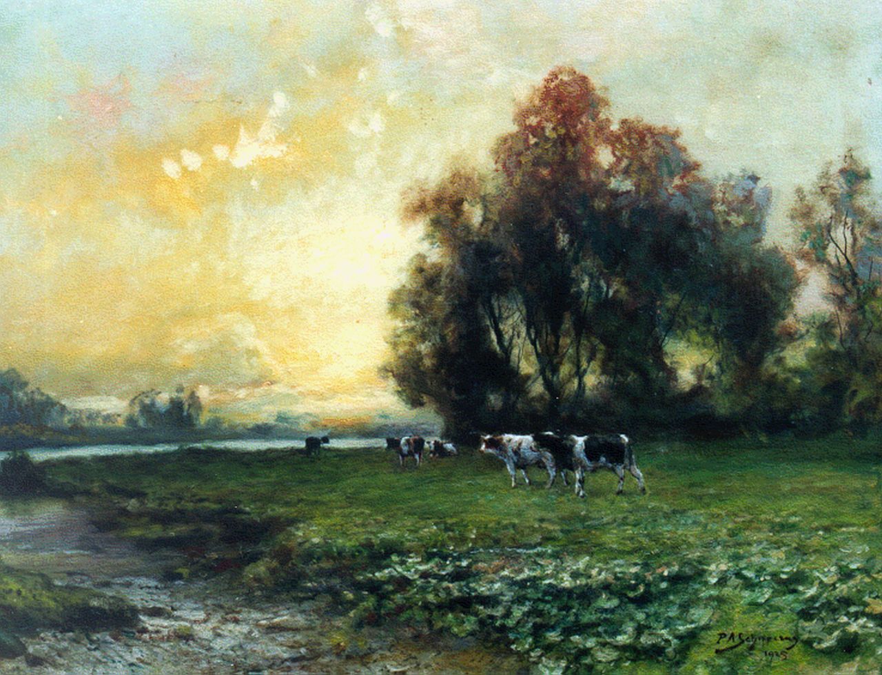 Schipperus P.A.  | Pieter Adrianus 'Piet' Schipperus, Cows in a river landscape, oil on canvas 60.0 x 80.0 cm, signed l.r. and dated 1925