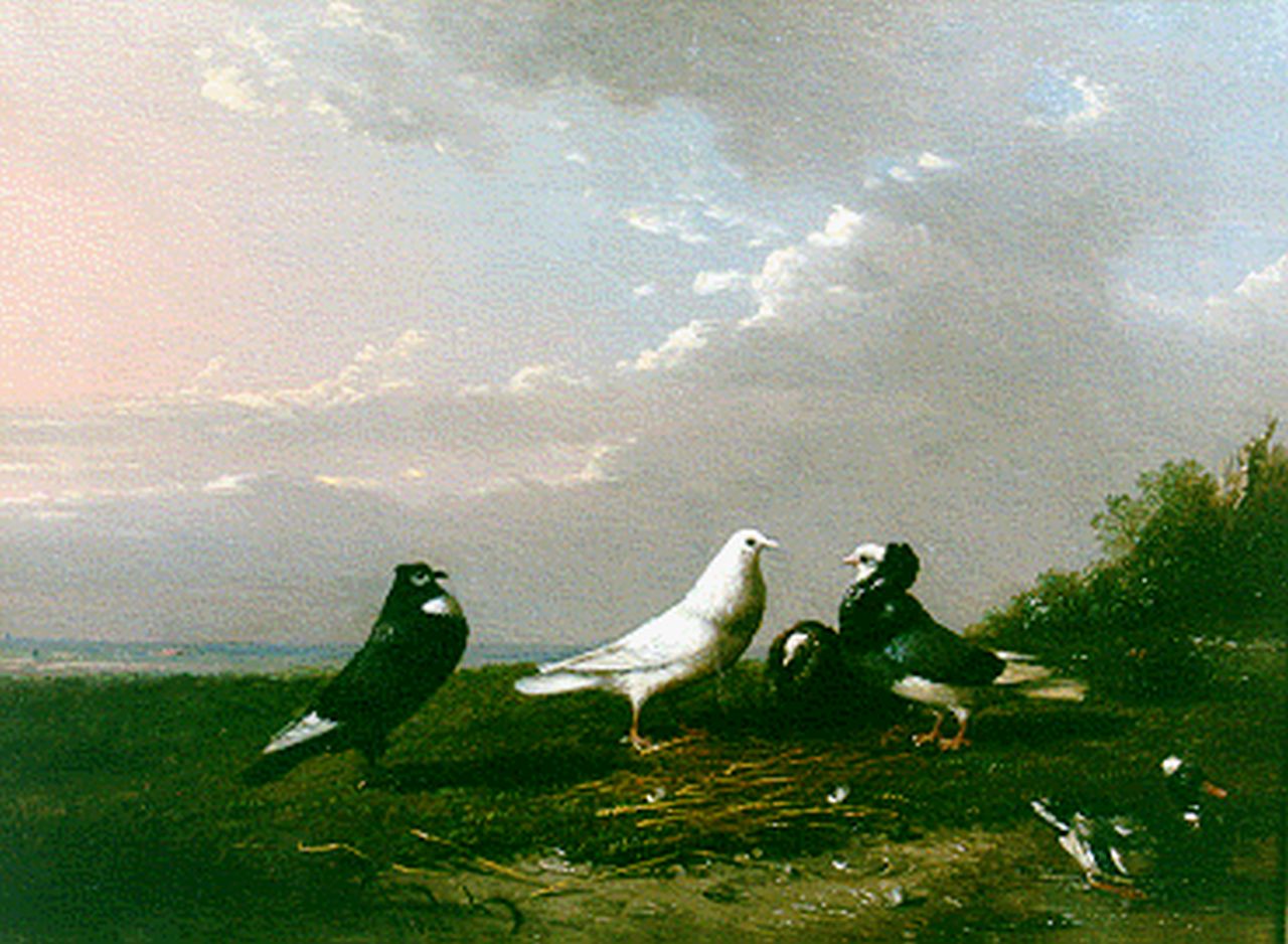 Severdonck F. van | Frans van Severdonck, A landscape with pigeons and a duck, oil on panel 16.7 x 22.7 cm, signed l.l.