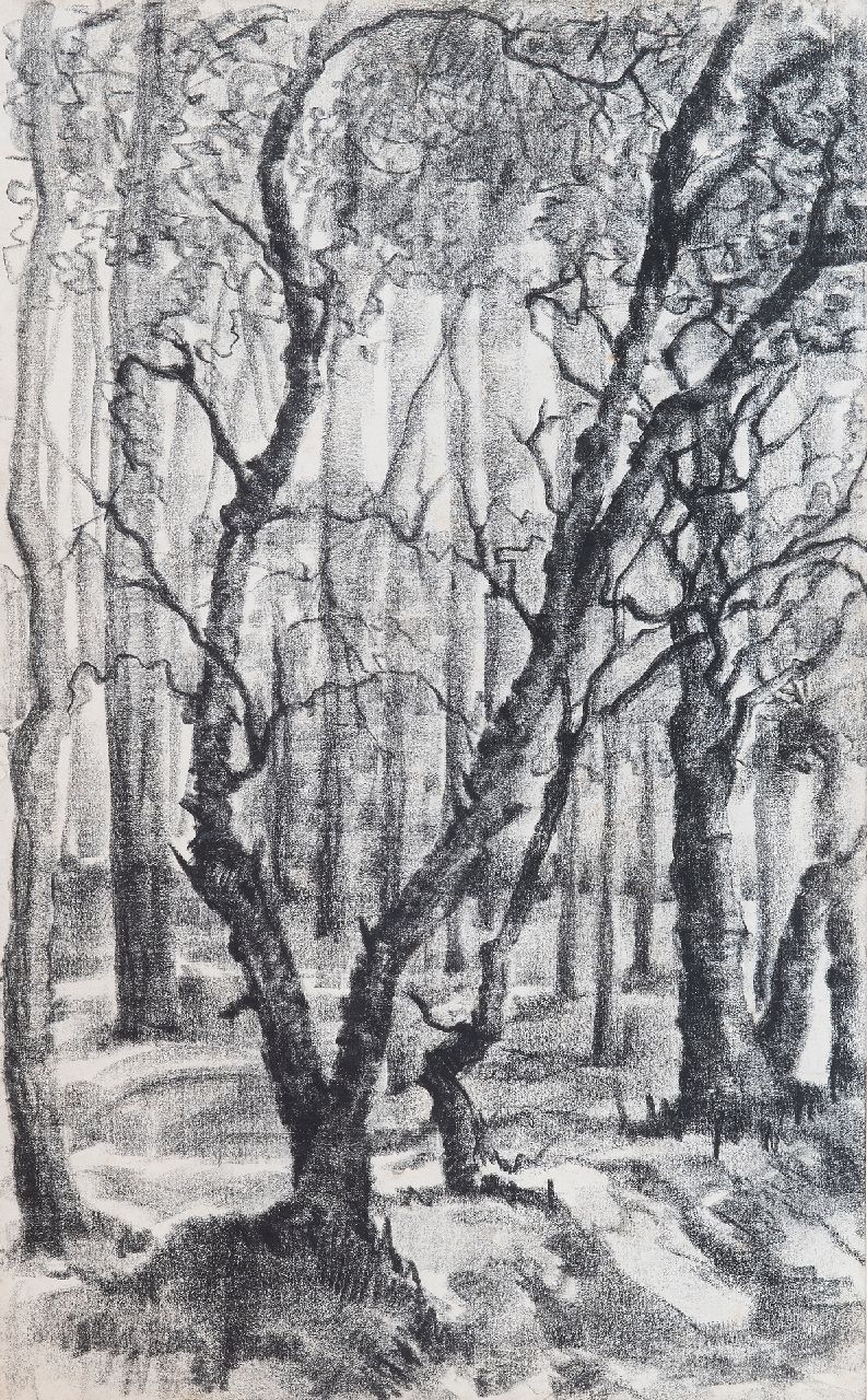Hunziker F.  | Frieda Hunziker | Watercolours and drawings offered for sale | Forest landscape, black chalk on paper 43.0 x 27.0 cm