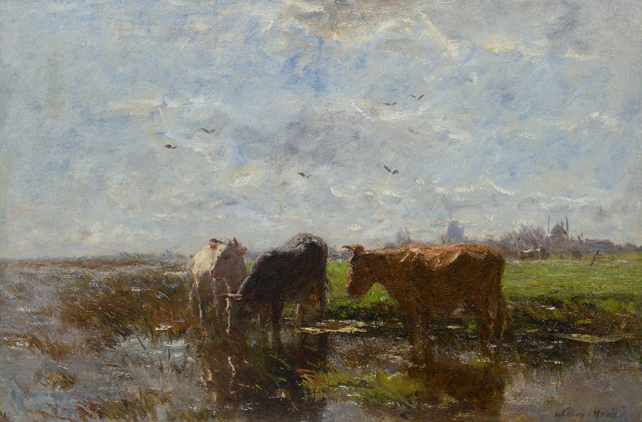 Maris W.  | Willem Maris, Drinking cows in a polder landscape, oil on canvas 58.2 x 85.2 cm, signed l.r.