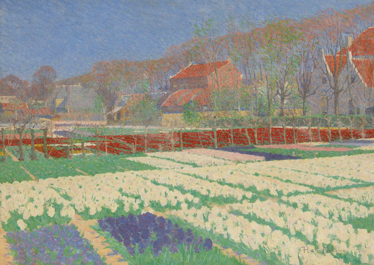 Hart Nibbrig F.  | Ferdinand Hart Nibbrig | Paintings offered for sale | Bulbfields in Bennebroek, oil on canvas 51.1 x 71.3 cm, signed l.r. and executed ca. 1900