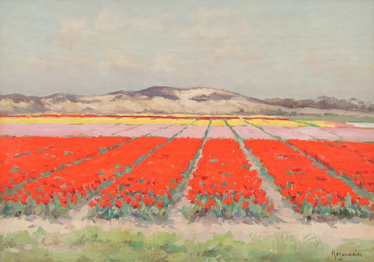 Rosemeier A.C.  | Alexander Coenraad 'Alex' Rosemeier, Bulb fields near Wassenaar, oil on canvas 35.1 x 50.0 cm, signed l.r. and reserved
