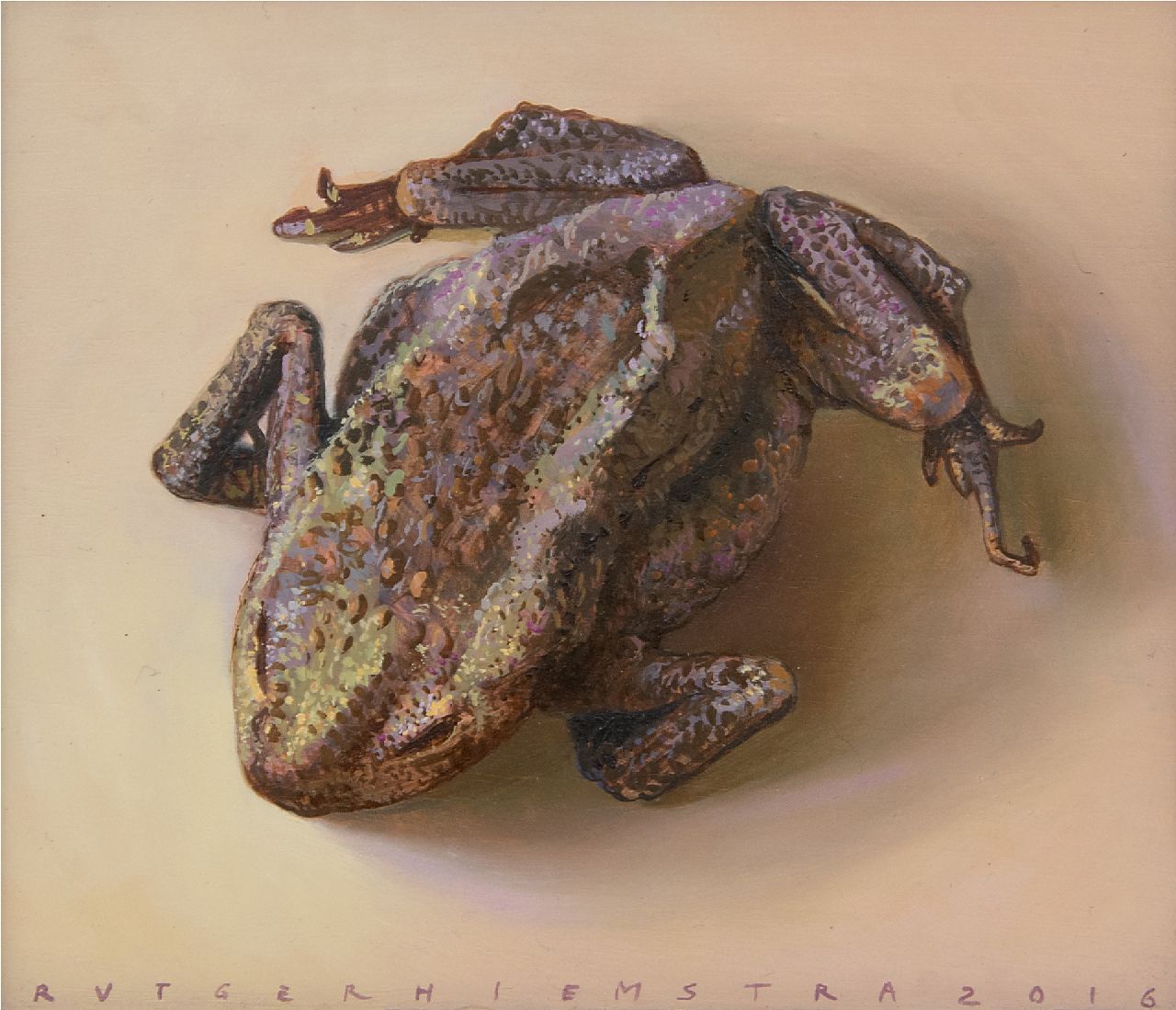 Hiemstra R.  | Rutger Hiemstra | Paintings offered for sale | Dried up toad, oil on panel 10.6 x 12.5 cm, signed l.m. and dated 2016