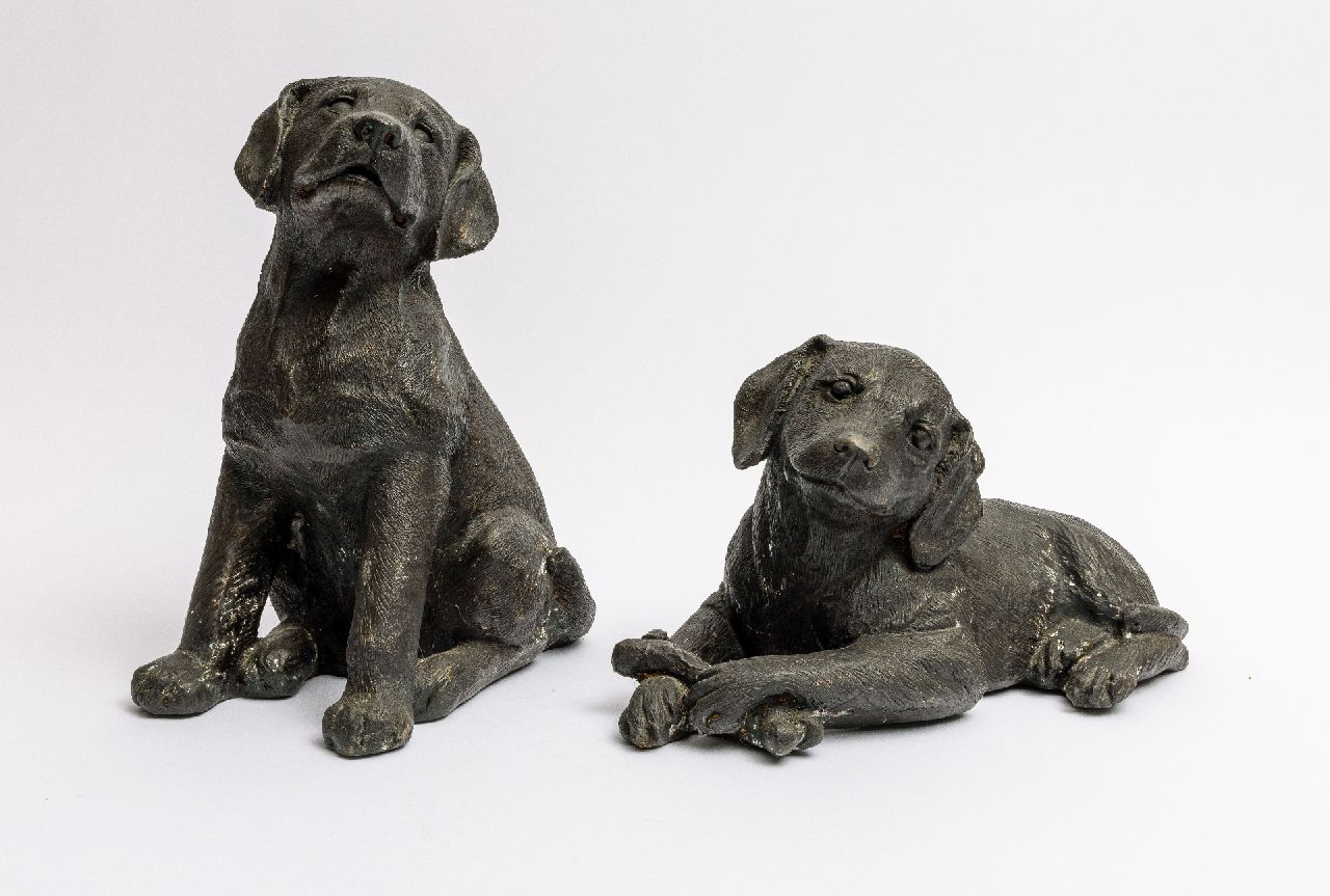 Onbekend   | Onbekend |  offered for sale | Two Retriever pups