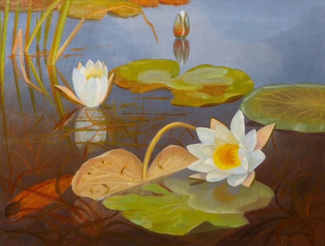 Smorenberg D.  | Dirk Smorenberg | Paintings offered for sale | Water lilies, oil on canvas 39.2 x 51.2 cm, signed l.r.