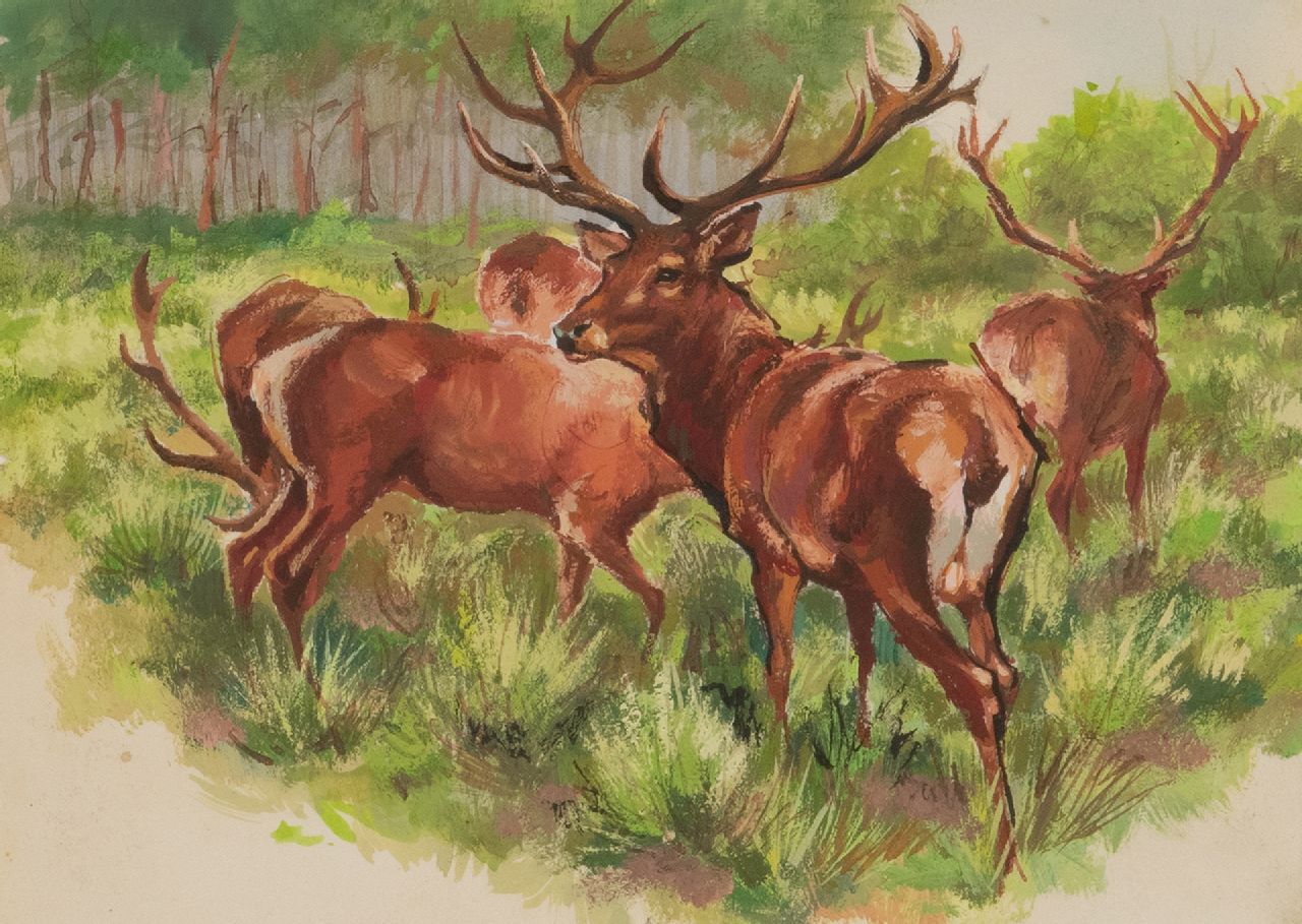 Poortvliet R.  | Rien Poortvliet | Watercolours and drawings offered for sale | Red deer in the evening coming out of the forest, Hoge Veluwe, Hoge, gouache on paper 13.5 x 18.0 cm