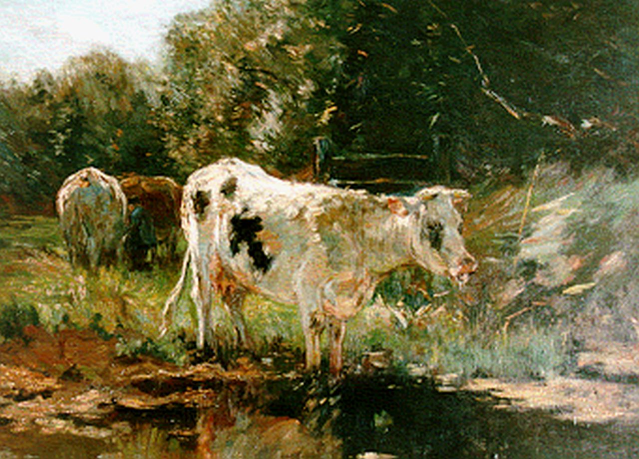 Maris W.  | Willem Maris, Cows near a stream, oil on canvas 80.8 x 101.5 cm, signed l.l.