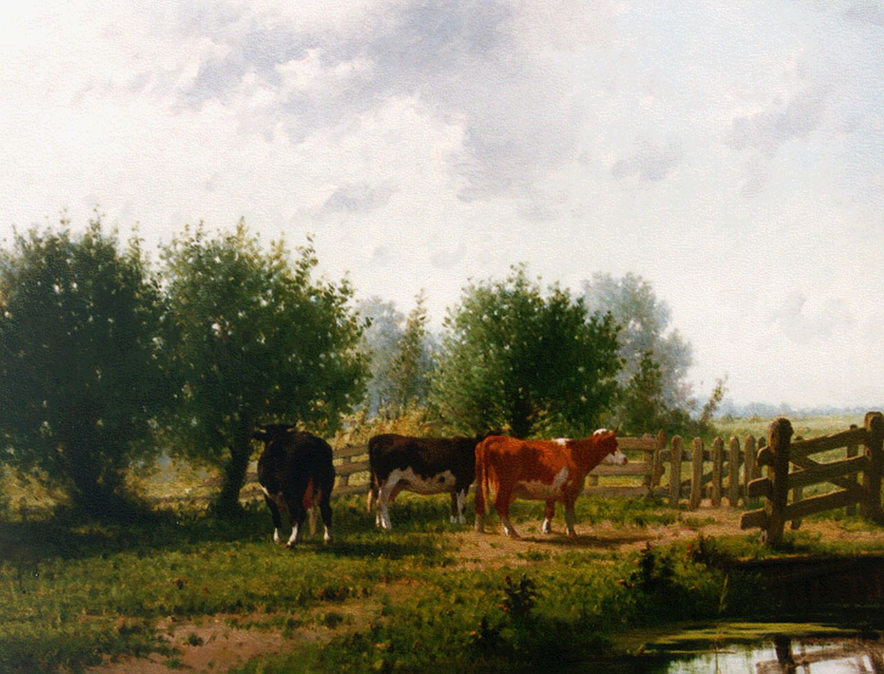 Westerbeek C.  | Cornelis Westerbeek, Cows by a fence, oil on panel 66.4 x 88.2 cm, signed l.l. and dated '84