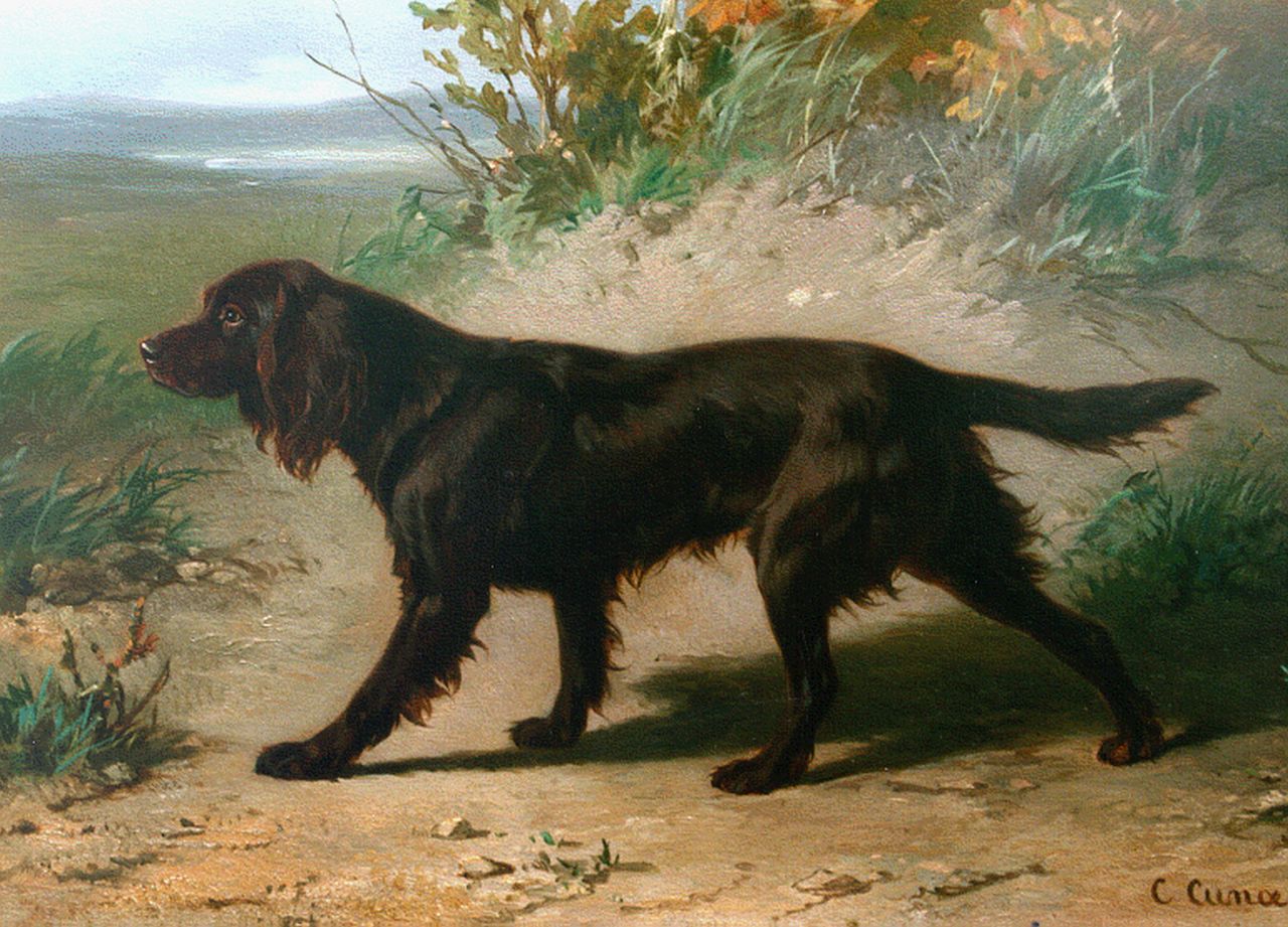 Cunaeus C.  | Conradijn Cunaeus, Irish setter, oil on panel 23.1 x 32.0 cm, signed l.r.