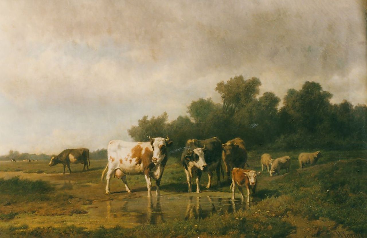Savrij H.  | Hendrik Savrij, Cattle in a meadow, oil on canvas 81.0 x 127.0 cm, signed l.r.