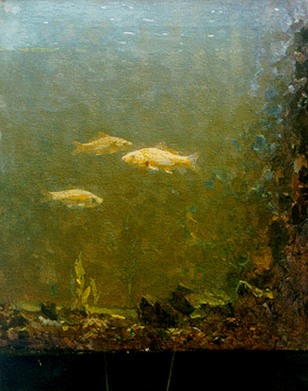 Dijsselhof G.W.  | Gerrit Willem Dijsselhof, Goldfish in an aquarium, oil on canvas 37.3 x 33.1 cm, signed l.r. with monogram