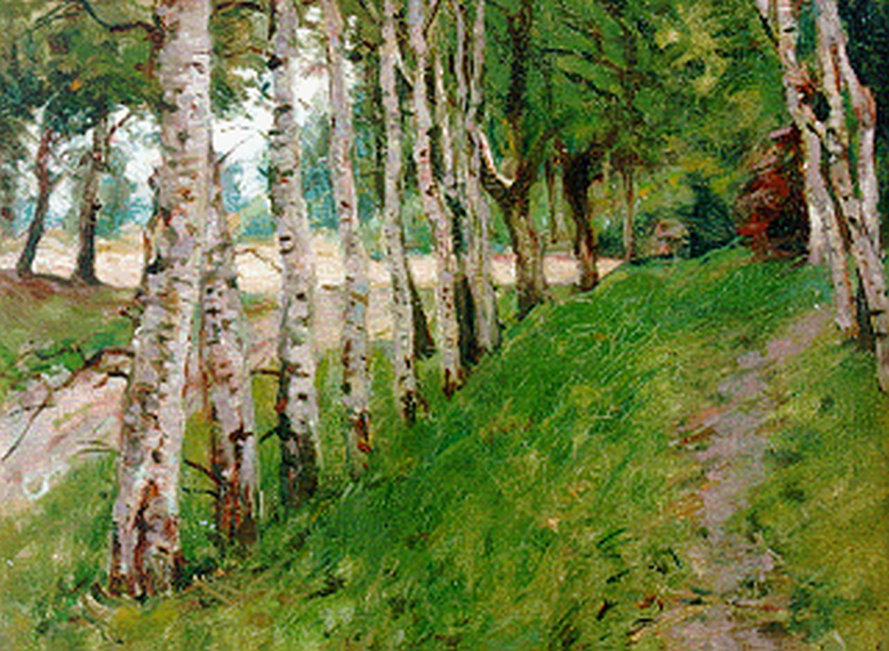 Hoynck van Papendrecht J.  | Jan Hoynck van Papendrecht, Birch trees, oil on canvas laid down on panel 22.9 x 29.6 cm, signed l.r.