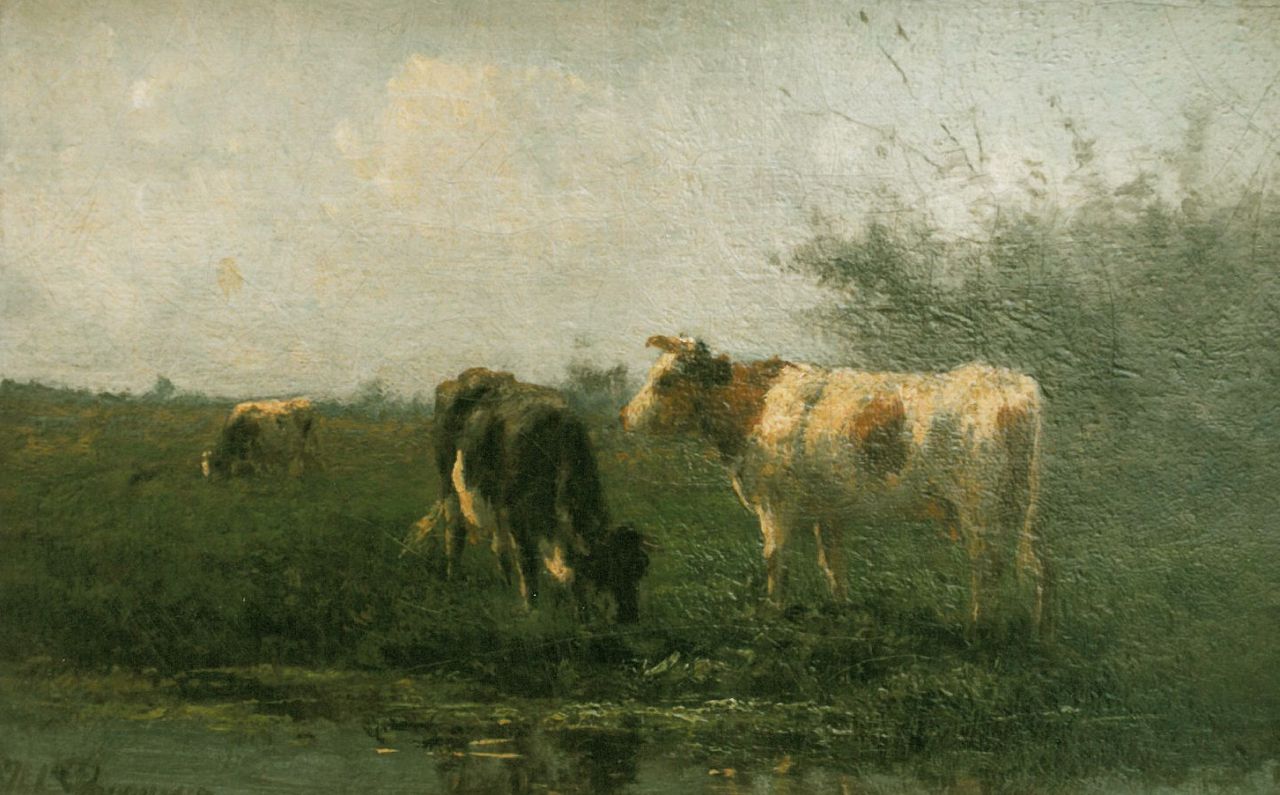 Bogman H.C.C.  | Hermanus Charles Christiaan 'Herman' Bogman, Cows in a meadow, oil on canvas 21.0 x 32.5 cm, signed l.l.