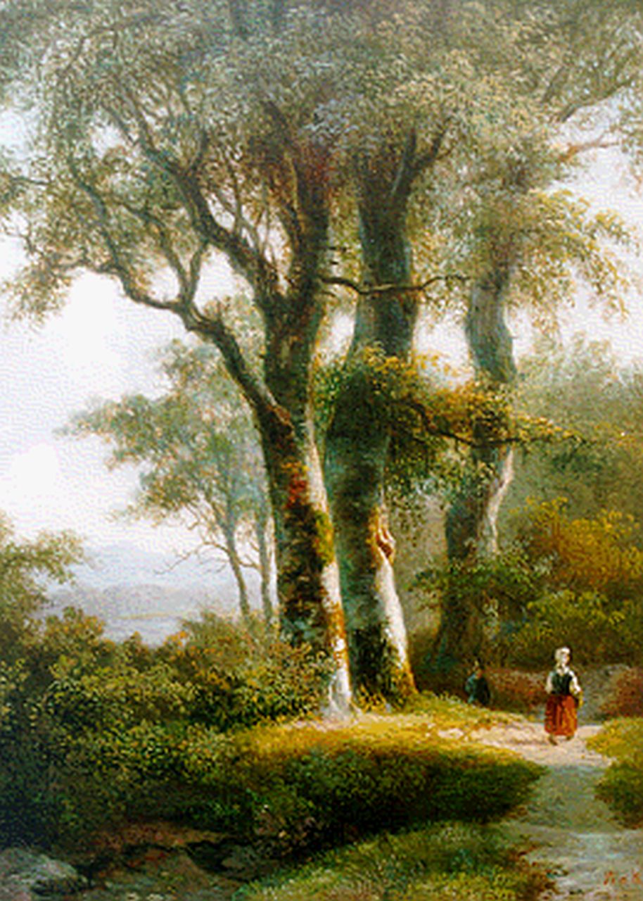 Klerk W. de | Willem de Klerk, A forest landscape, oil on panel 30.0 x 22.5 cm, signed l.r.