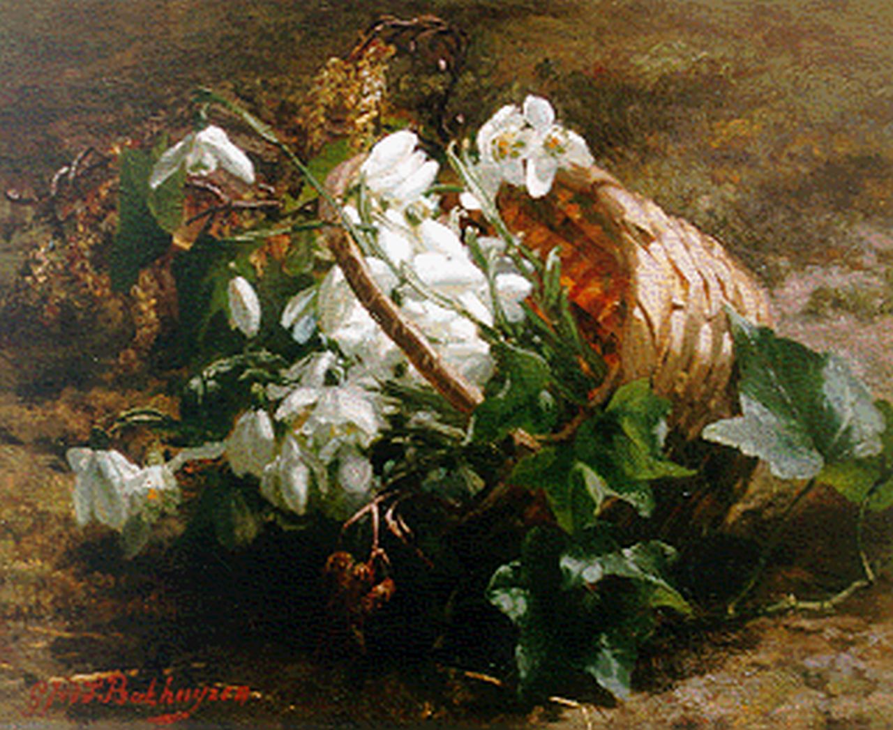 Sande Bakhuyzen G.J. van de | 'Gerardine' Jacoba van de Sande Bakhuyzen, Snowdrops in a basket, oil on panel 24.5 x 31.0 cm, signed l.l.