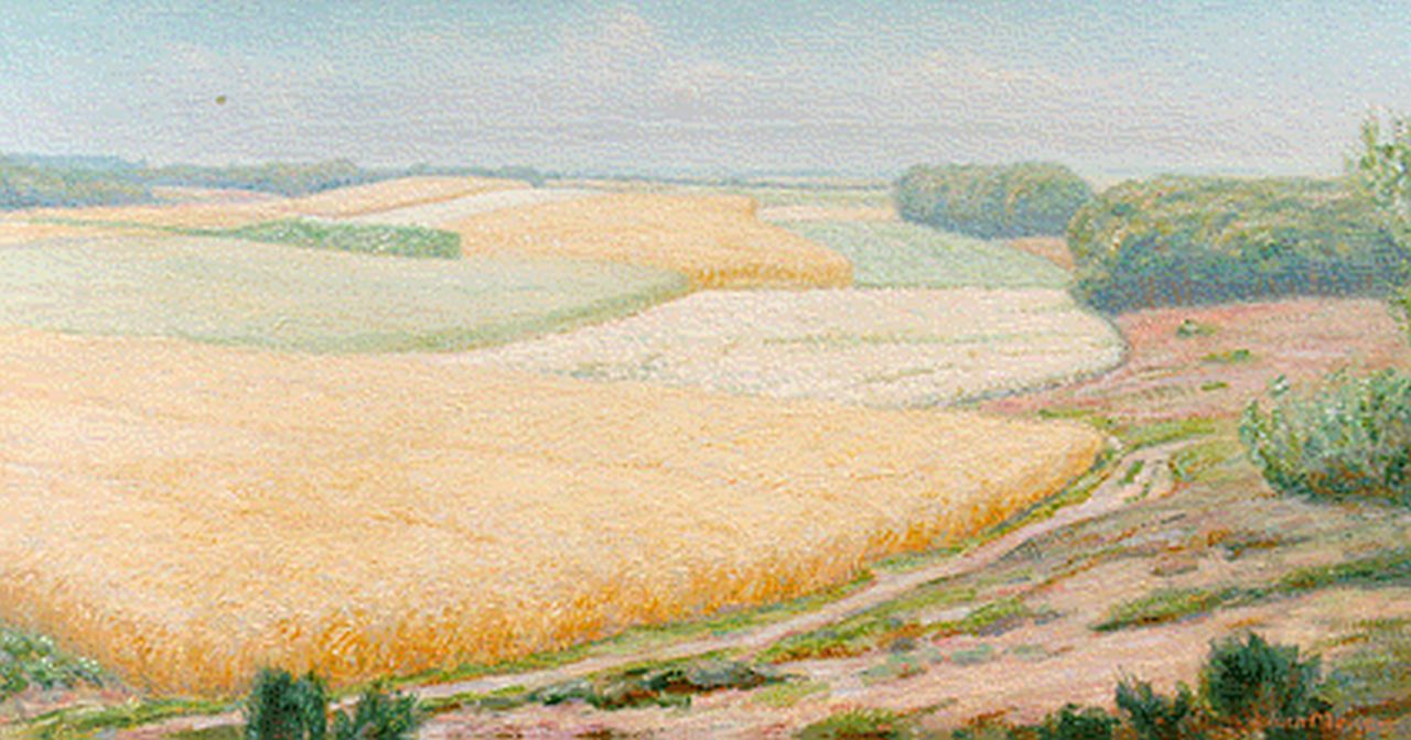 Meijer J.  | Johannes 'Johan' Meijer, A summer landscape, oil on canvas 45.0 x 84.4 cm, signed l.r.