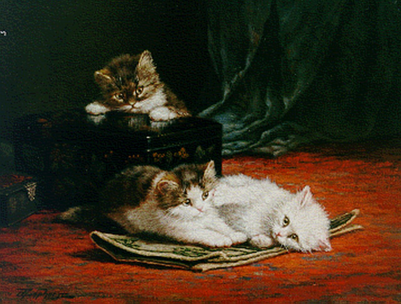 Raaphorst C.  | Cornelis Raaphorst, Kittens playing, oil on canvas 40.6 x 50.2 cm, signed l.l.