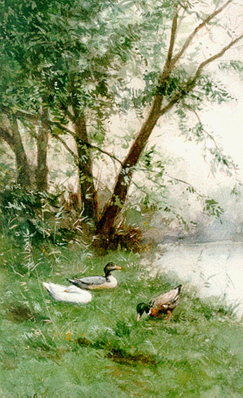 Artz C.D.L.  | 'Constant' David Ludovic Artz, Ducks on the riverbank, watercolour on paper 37.8 x 25.0 cm, signed l.l.