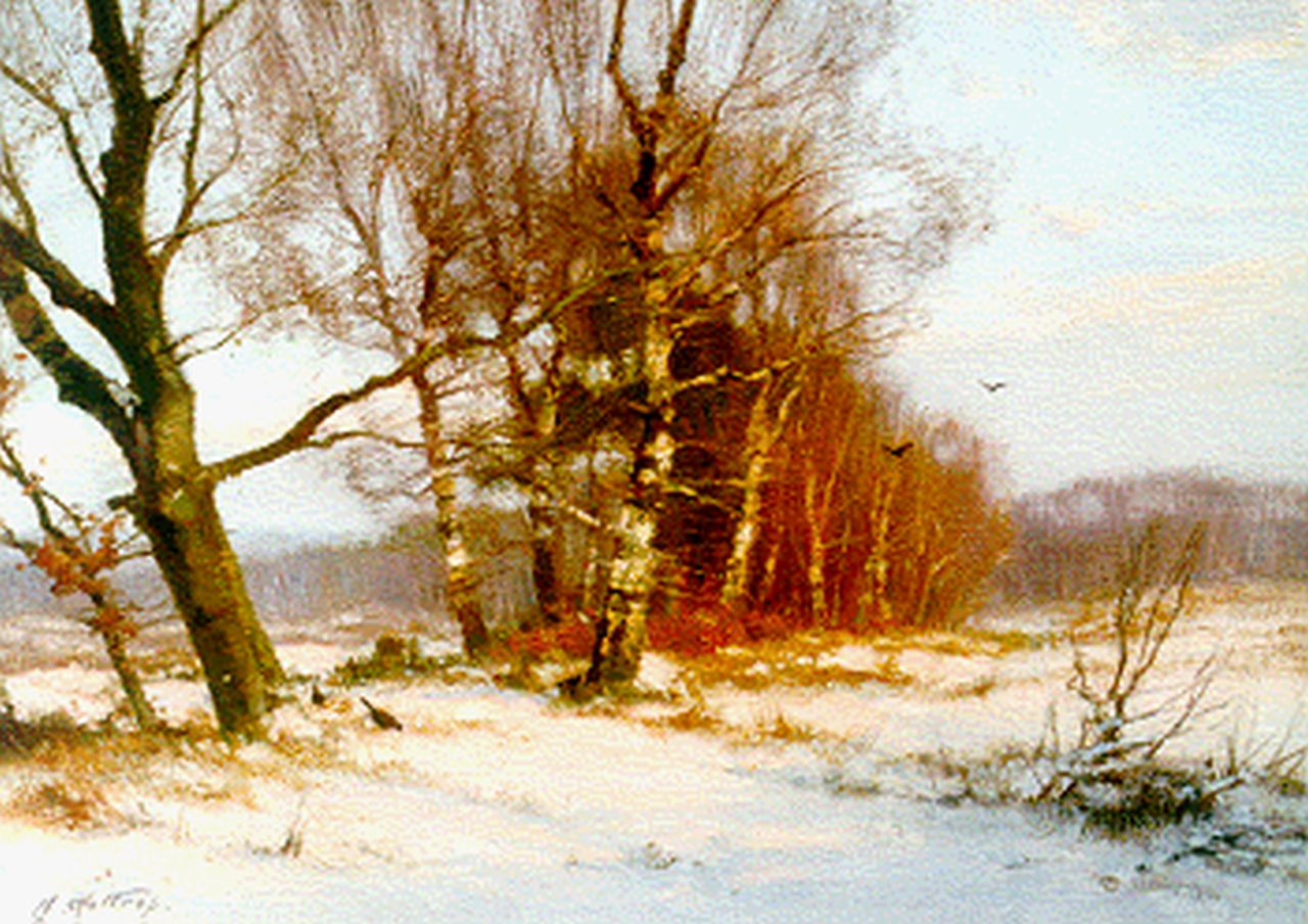 Holtrup J.  | Jan Holtrup, 'Imbos' in winter, Veluwe, oil on canvas 30.0 x 40.4 cm, signed l.l.