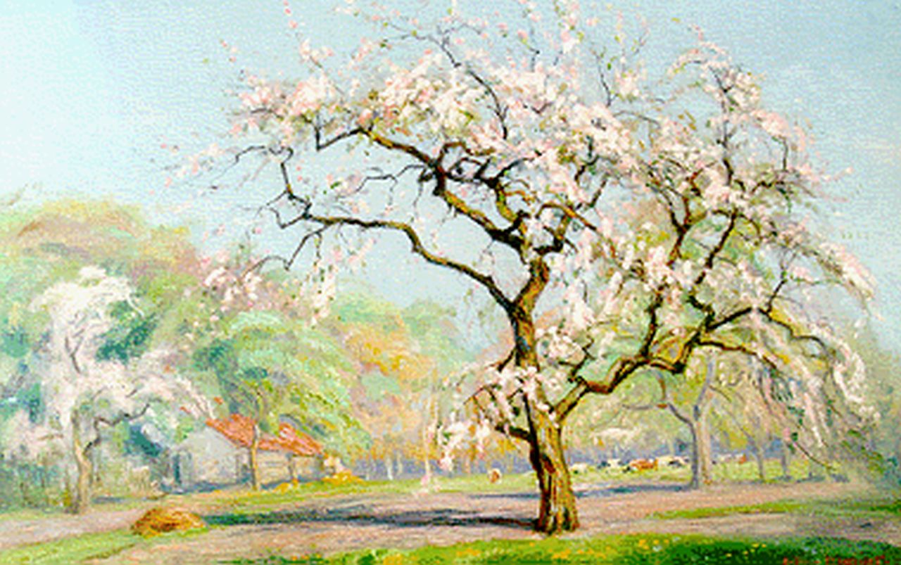 Meijer J.  | Johannes 'Johan' Meijer, An orchard in blossom, oil on canvas 40.4 x 59.7 cm, signed l.r.