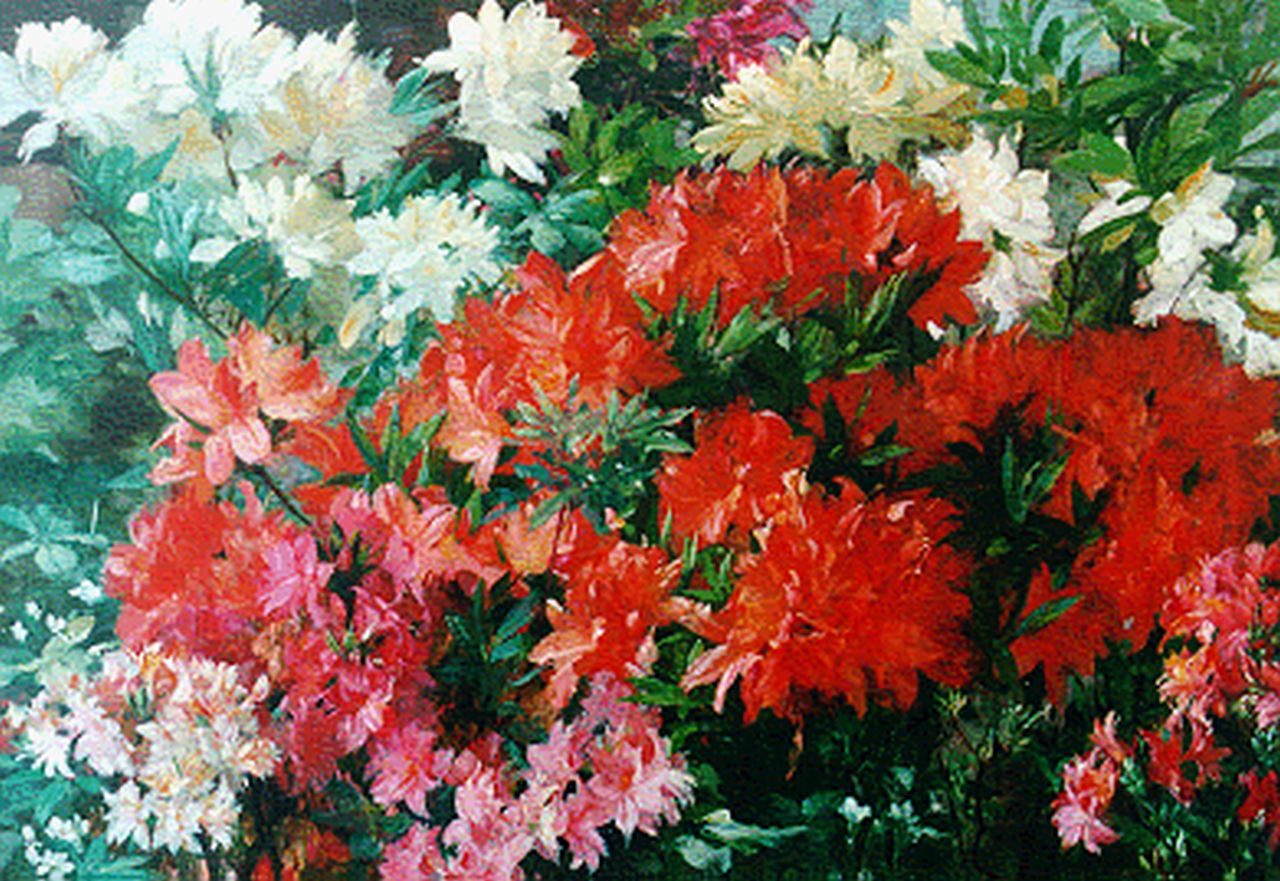 Visser jr. J.  | Jan Visser jr., Flowering rhododendrons, oil on canvas 61.6 x 87.8 cm, signed u.r.