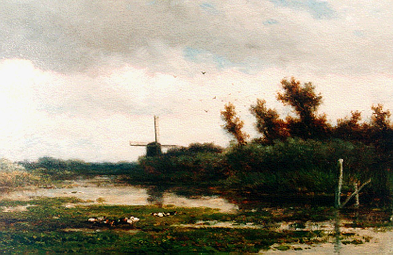 Roelofs W.  | Willem Roelofs, A polder landscape, oil on panel 21.0 x 34.0 cm, signed l.l.