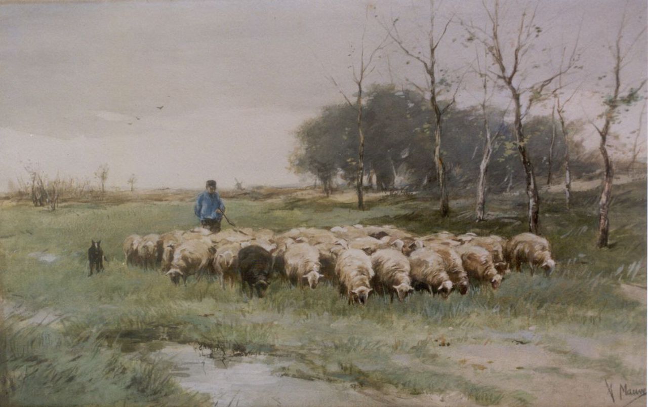 Mauve A.  | Anthonij 'Anton' Mauve, A shepherd with his flock, watercolour on paper 31.5 x 50.0 cm, signed l.r.